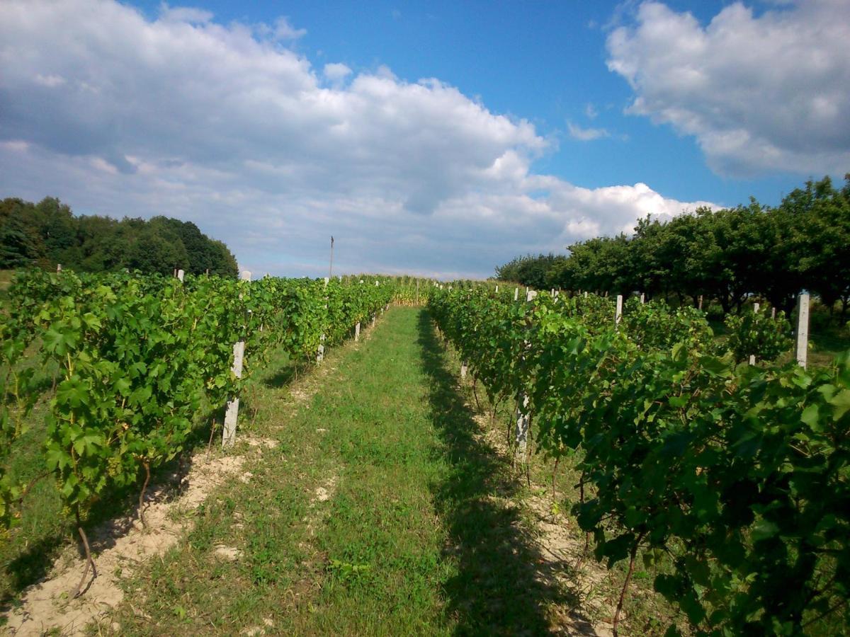 Domek Na Winnicy Zagrabie Rybna  Exterior foto